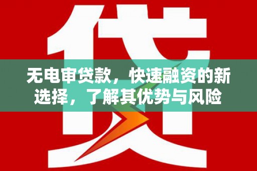 临高无电审贷款，快速融资的新选择，了解其优势与风险