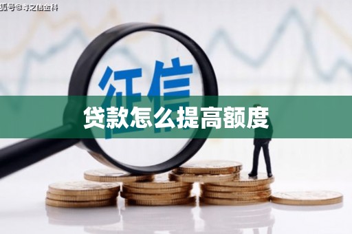 临高贷款怎么提高额度