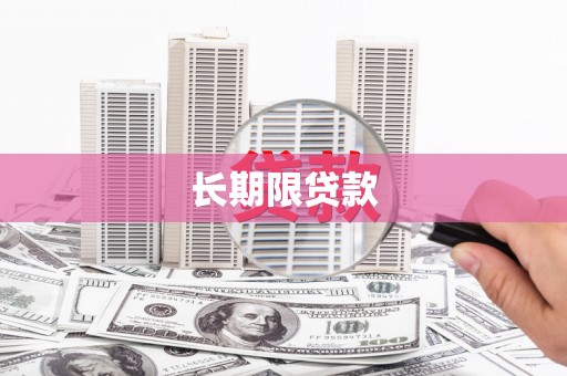 临高长期限贷款