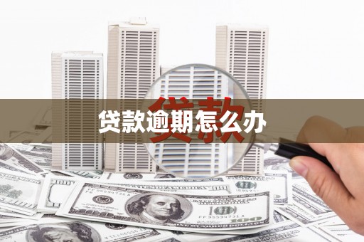 临高贷款逾期怎么办