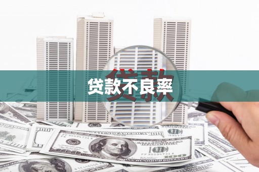 临高贷款不良率