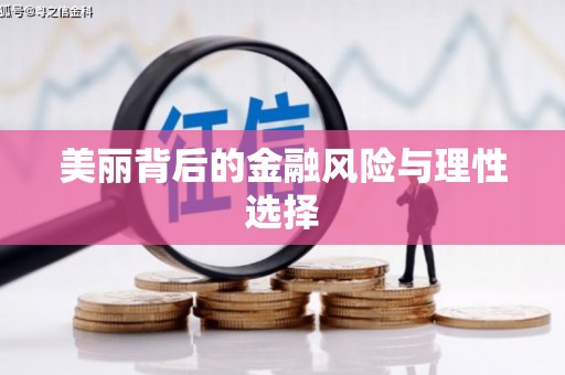 临高美丽背后的金融风险与理性选择