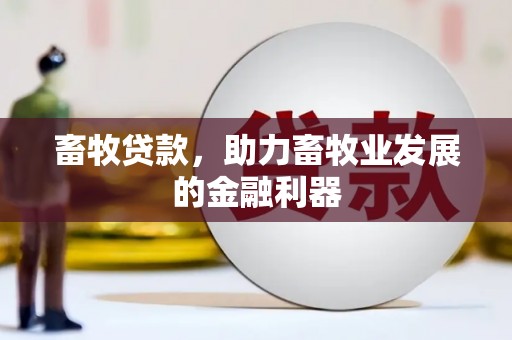 临高畜牧贷款，助力畜牧业发展的金融利器