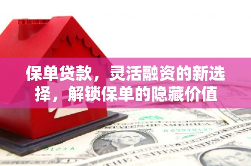 临高保单贷款，灵活融资的新选择，解锁保单的隐藏价值
