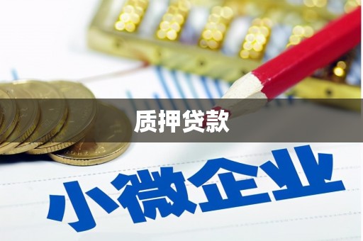 临高质押贷款