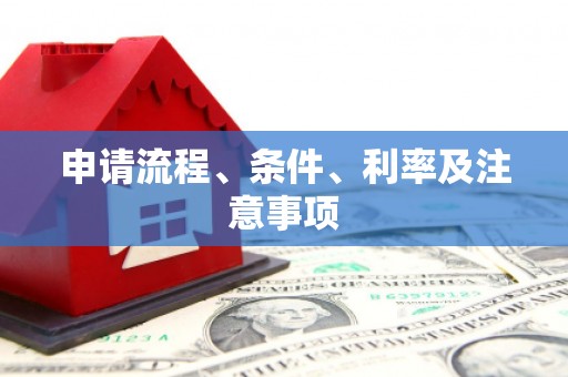 临高申请流程、条件、利率及注意事项