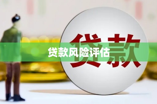 临高贷款风险评估