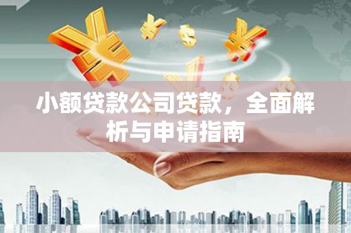 临高小额贷款公司贷款，全面解析与申请指南