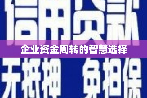 临高企业资金周转的智慧选择