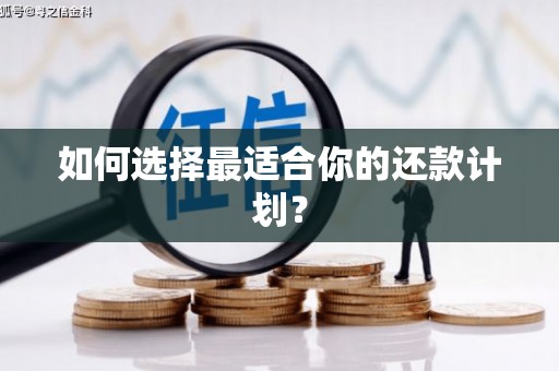 临高如何选择最适合你的还款计划？