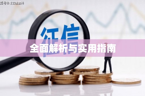 临高全面解析与实用指南