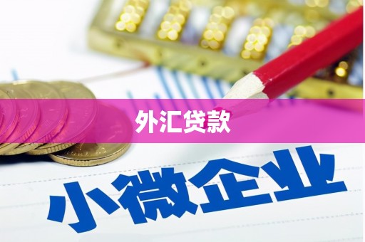 临高外汇贷款