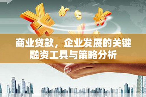 临高商业贷款，企业发展的关键融资工具与策略分析