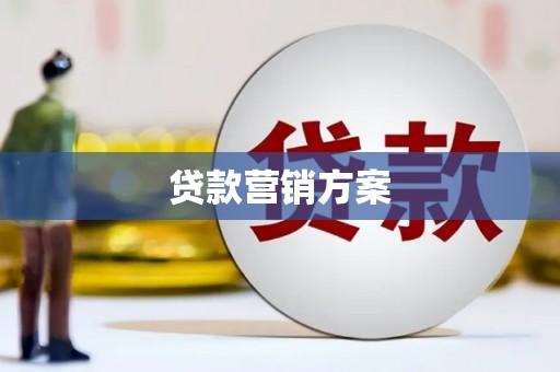 临高贷款营销方案