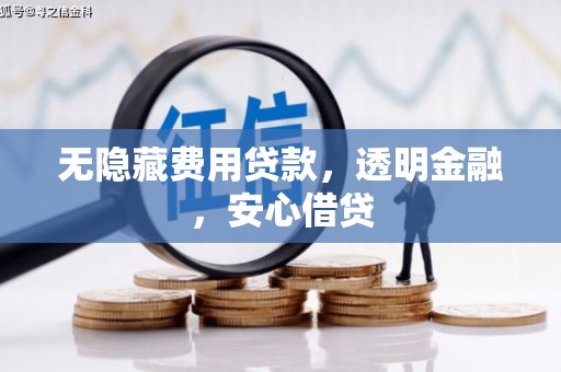 临高无隐藏费用贷款，透明金融，安心借贷