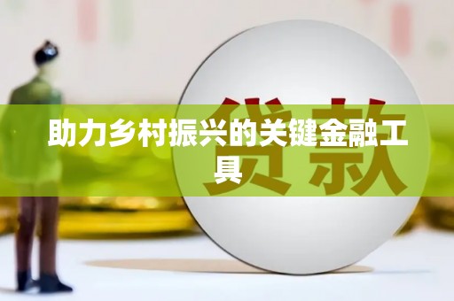 临高助力乡村振兴的关键金融工具
