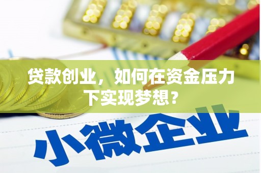 临高贷款创业，如何在资金压力下实现梦想？