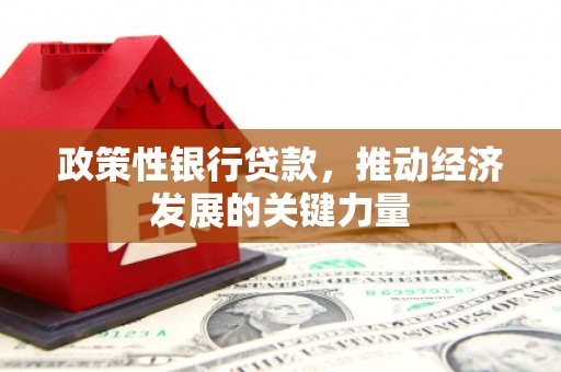 临高政策性银行贷款，推动经济发展的关键力量