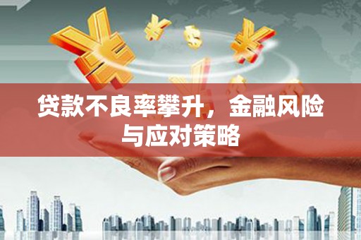 临高贷款不良率攀升，金融风险与应对策略