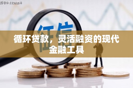 临高循环贷款，灵活融资的现代金融工具