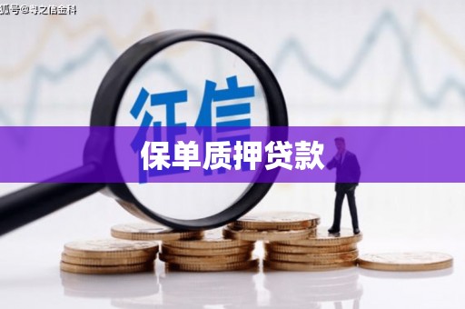 临高保单质押贷款