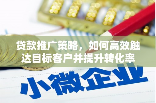 临高贷款推广策略，如何高效触达目标客户并提升转化率