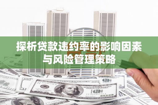临高探析贷款违约率的影响因素与风险管理策略
