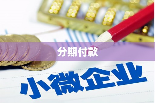 临高分期付款