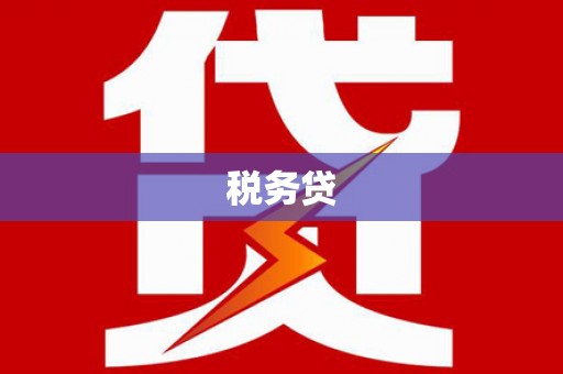 临高税务贷