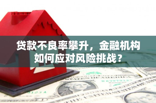 临高贷款不良率攀升，金融机构如何应对风险挑战？