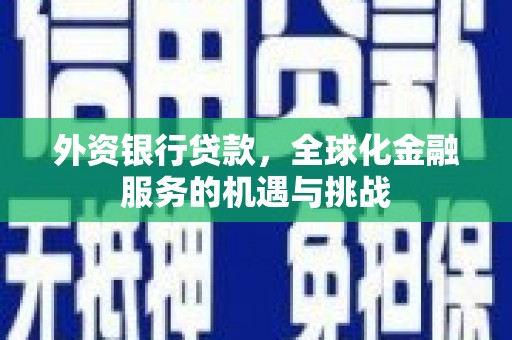临高外资银行贷款，全球化金融服务的机遇与挑战