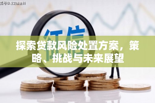 临高探索贷款风险处置方案，策略、挑战与未来展望