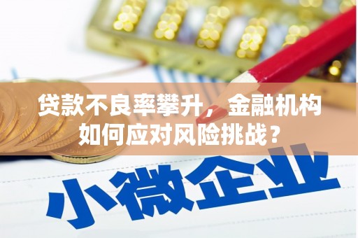 临高贷款不良率攀升，金融机构如何应对风险挑战？
