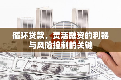 临高循环贷款，灵活融资的利器与风险控制的关键