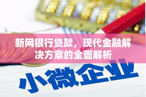 临高新网银行贷款，现代金融解决方案的全面解析