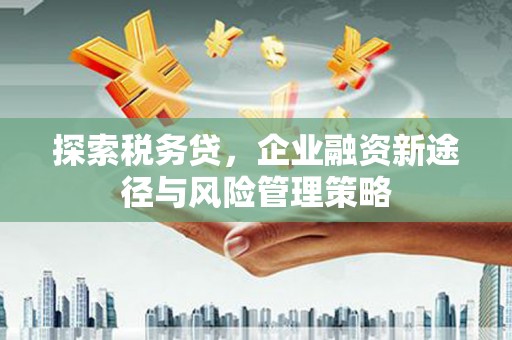 临高探索税务贷，企业融资新途径与风险管理策略