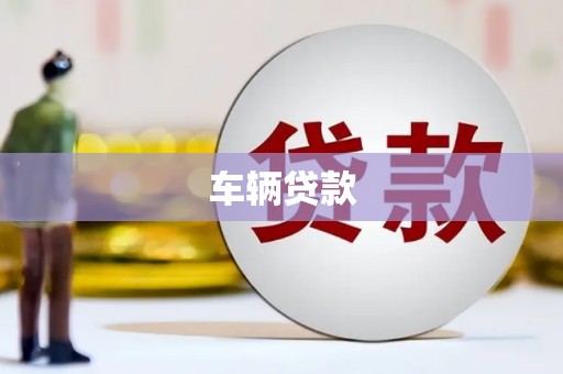 临高车辆贷款
