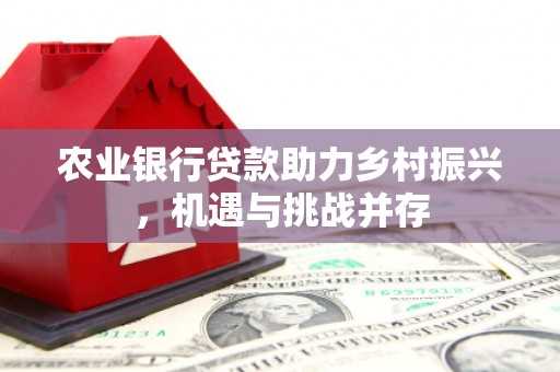 临高农业银行贷款助力乡村振兴，机遇与挑战并存