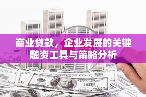 临高商业贷款，企业发展的关键融资工具与策略分析