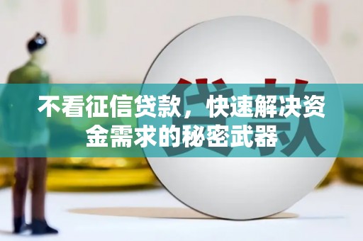 临高不看征信贷款，快速解决资金需求的秘密武器