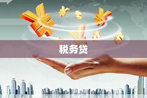 临高税务贷