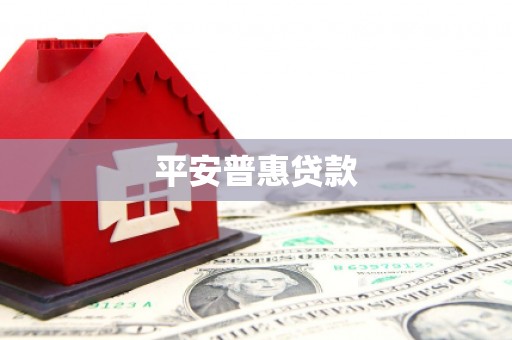 临高平安普惠贷款