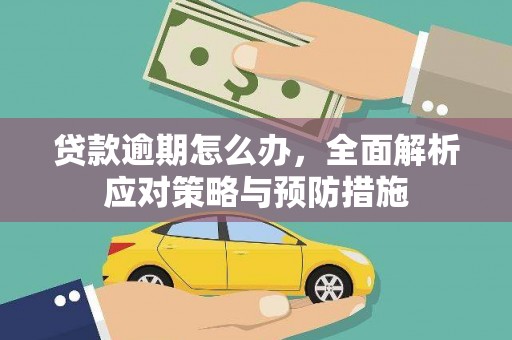 临高贷款逾期怎么办，全面解析应对策略与预防措施
