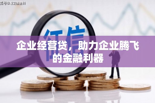 临高企业经营贷，助力企业腾飞的金融利器