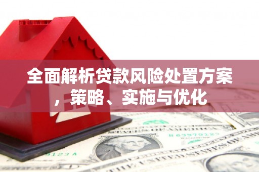 临高全面解析贷款风险处置方案，策略、实施与优化