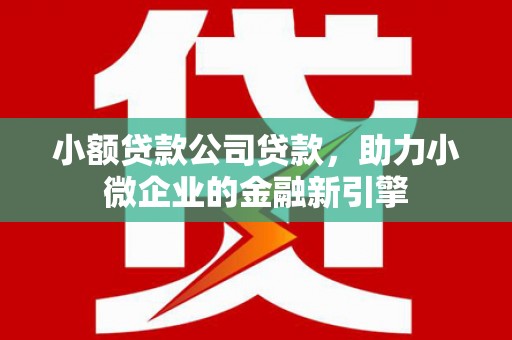 临高小额贷款公司贷款，助力小微企业的金融新引擎