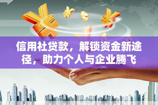 临高信用社贷款，解锁资金新途径，助力个人与企业腾飞