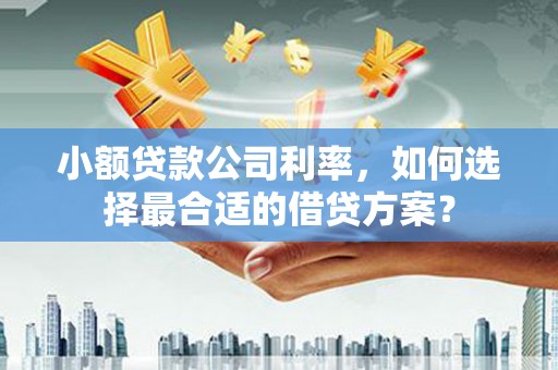 临高小额贷款公司利率，如何选择最合适的借贷方案？