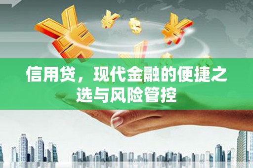 临高信用贷，现代金融的便捷之选与风险管控