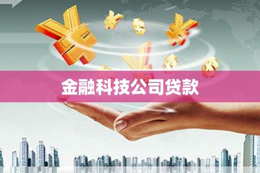 临高金融科技公司贷款